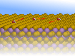 Nanoscopic diffusion of water on a topological insulator