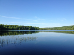Contextualizing European snapshots of post-contact southern New England