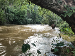 Re-imagining water management on World Water Day 