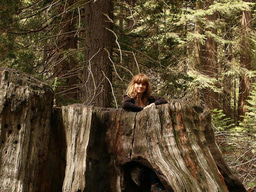 Toward an equitable future for all species