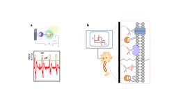 Linking Carbon and Protein for Specialized Bioelectronics
