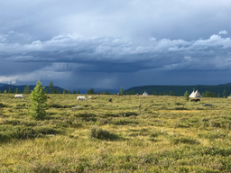 Early Mongolian ruminant and horse dairying through ancient protein analysis 