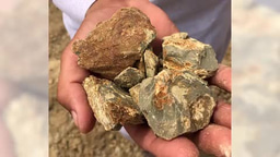 Blessing in disguise: a natural nanomaterial for industrial application