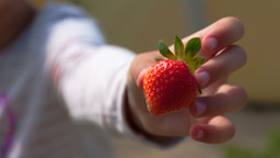 Social experience predicts infant altruism, and points to a science of cultural learning