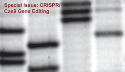 Gene editing: celebrating The Nobel Prize in Chemistry 2020