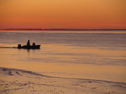 How strange can things get in the Arctic?