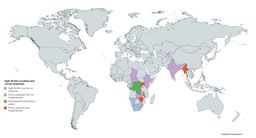 After the Paper: Lateral flow LAM testing for TB in PLHIV - why the slow implementation?