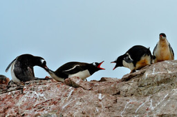 Diversity - when it is NOT respected - bullying and harassment