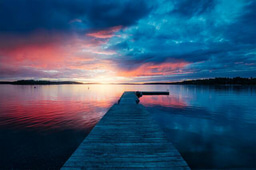 Probono - team capacity building 