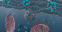 Exploiting the unique properties of tumors to deliver chemotherapeutics to cancer cells