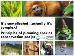 Principles of planning species conservation projects