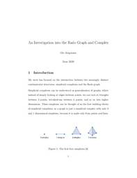 An Investigation into the Rado Graph and Complex - Essay