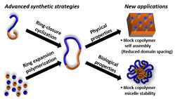 The synthesis, properties and potential applications of cyclic polymers