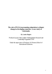 Research Essay: The role of NGOs in promoting adaptation to climate change in developing countries: a case study of Guatemala.