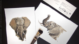 Event: Elephant art & conservation