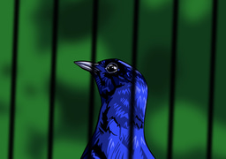 Asian Songbird Trade workshop for artists and illustrators