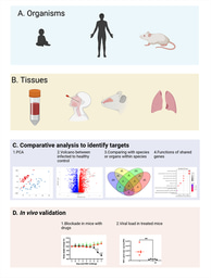 All models are wrong, some are useful