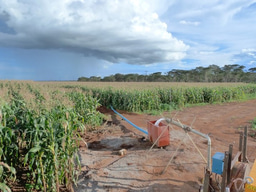 Groundwater and climate change revisited: informing adaptation in a warming world