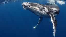 New leadership workshop: Join us to start 2022 with clarity ✨