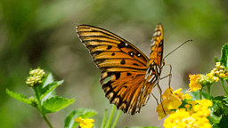 🎯 Set Your 2025 Goals: Leadership Workshop on World Optimist Day!