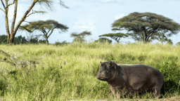 Leadership Workshop: Tune into Your Truth on February 15 🦛