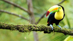 Leadership Workshop: Design Your Best Year Yet on February 8 ✨