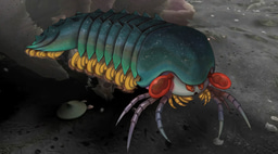 Burgess Tales of Arachne