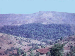 Biodiversity conservation