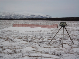 The rise of the Arctic