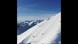 Tackling Conservation Challenges with Innovative Technologies