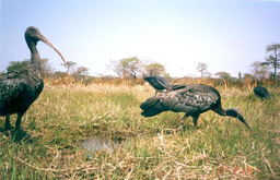 Situation analysis - Week 3