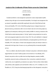 Analysis of the Livelihoods of Waste Pickers across the Global South 