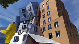 LIA Showcase - A Summer with the Timothy Smith Network