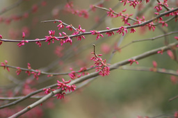 Spring 2020 started with a bang; how did it wind up?