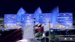 On becoming a group leader: Luis R. Saraiva, Sidra Medicine, Qatar