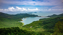 Internship at HCV Network