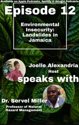 Research Report: Environmental Insecurities in Jamaica 