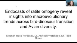 Laidlaw_Video_Project_meghan