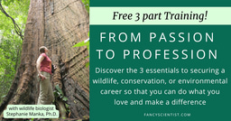 Free Training! part 1: The Key Principle to Getting Hired in Wildlife Careers