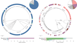 International collaboration as a model to integrate whole-genome sequencing into national antimicrobial resistance surveillance systems in low- and middle-income countries