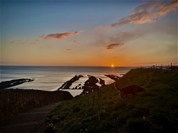 From my forest dark to rebeholding the stars: a self-discovery journey in the Laidlaw Programme