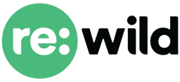 Re:wild is Hiring!