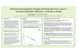 [Poster] Electroencephalography changes following fetal brain injury in intrauterine growth restriction: a literature review