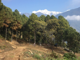Gender Equity and Social Inclusion in Nepal's Community-Based Forest Management Programs