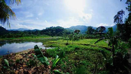 The medical ecological context of children