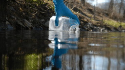 Predicting the biodiversity of rivers