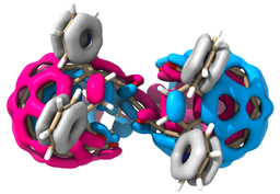 Linking Two Holey [60]Fullerenes