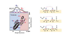 A combination of hard and soft technique to tackle the challenge of NMR in material science 