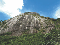 Bridging Micro- and Macroevolution: High genetic differentiation among disjoint populations in naturally fragmented habitats of Neotropical Mountains