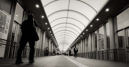 Suicide during the COVID-19 in Japan